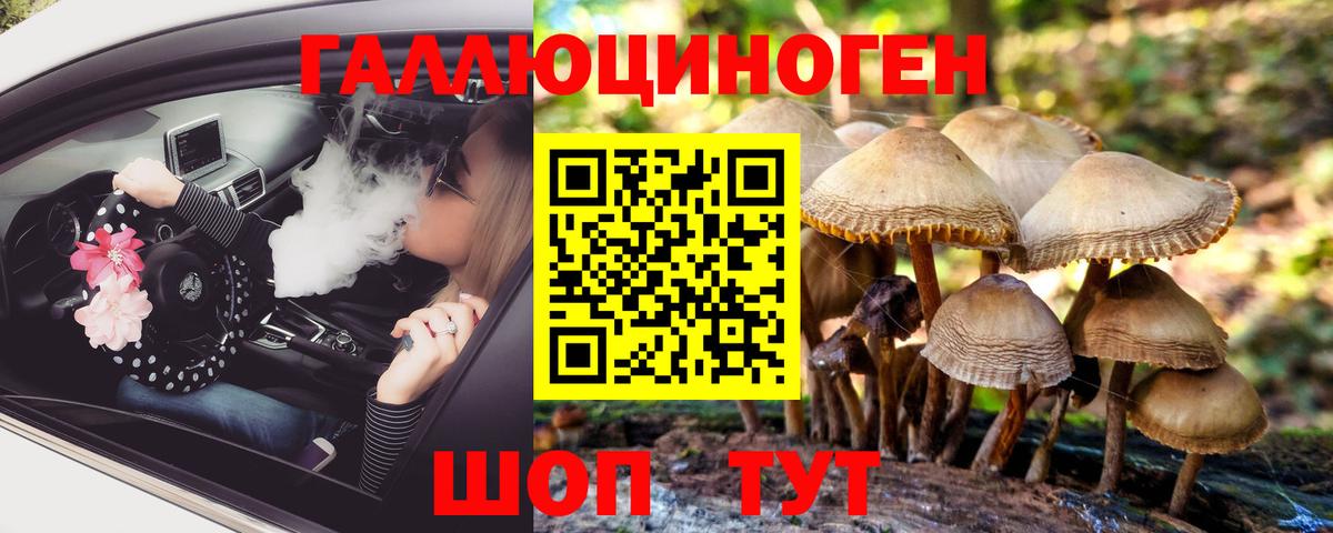цена наркотик  Вход с VPN  Топки  Галлюциногенные грибы прущие грибы 